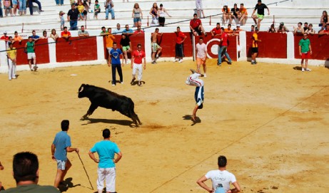 Bando de festejos taurinos populares