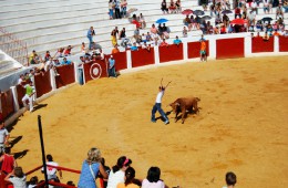Fiestas de san juan 2007