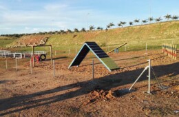 Parque Canino San Gregorio