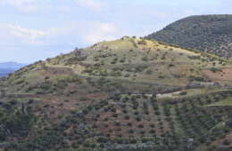 Cerro La Atalaya